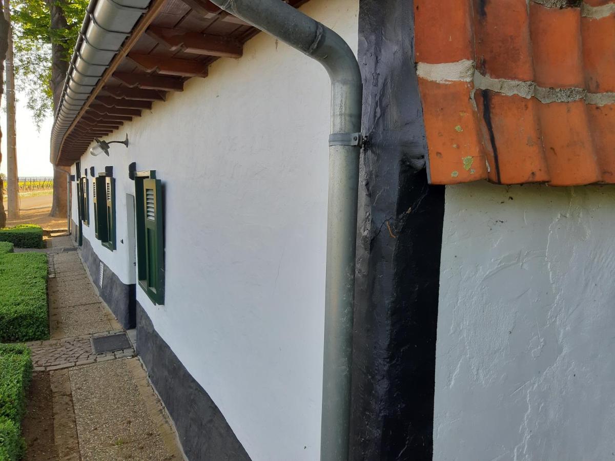 Lemen Huis Houwaart Tielt-Winge Ngoại thất bức ảnh